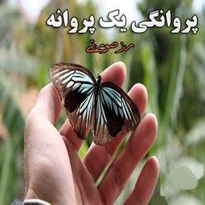 رمان پروانگی یک پروانه