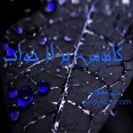 دانلود رمان کابوس پر از خواب از نویسنده مریم سلطانی رمان رایگان