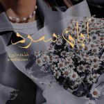 دانلود رمان آبان سرد از نویسنده فاطمه خاوریان رمان رایگان