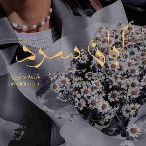 دانلود رمان آبان سرد از نویسنده فاطمه خاوریان رمان رایگان