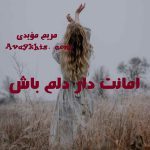 دانلود رمان امانت دار دلم باش از نویسنده مریم‌ مؤیدی رمان رایگان