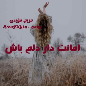 دانلود رمان امانت دار دلم باش از نویسنده مریم‌ مؤیدی رمان رایگان