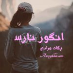 دانلود رمان انگور نارس از نویسنده پگاه مرادی رمان رایگان