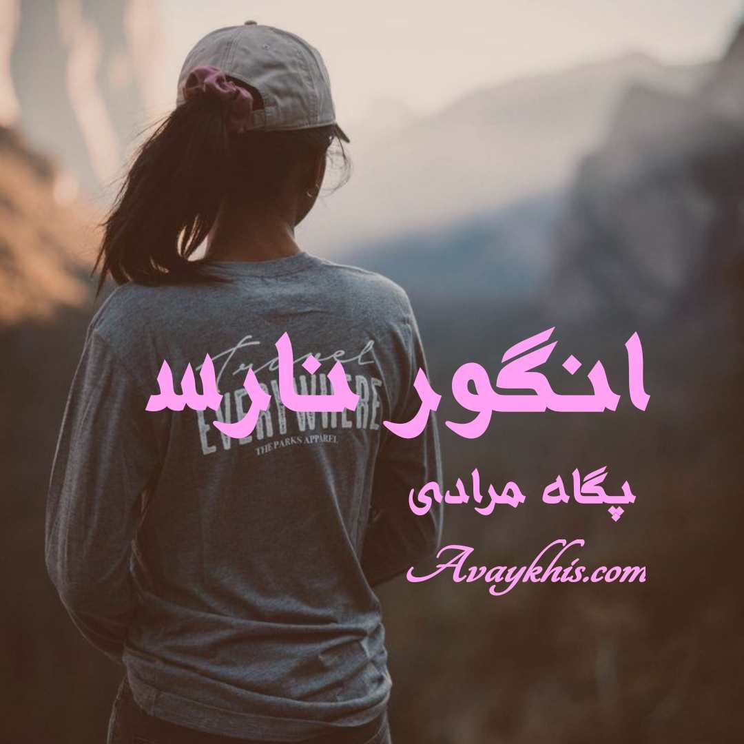 دانلود رمان انگور نارس از نویسنده پگاه مرادی رمان رایگان