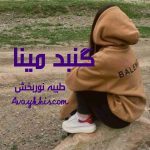 دانلود رمان گنبد مینا از نویسنده طیبه نوربخش رمان رایگان