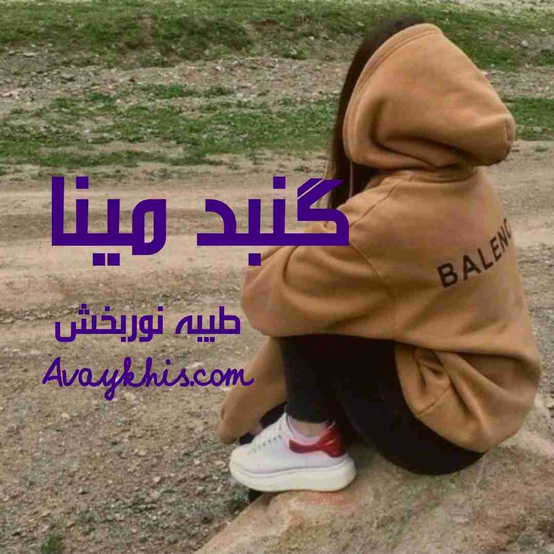 دانلود رمان گنبد مینا از نویسنده طیبه نوربخش رمان رایگان