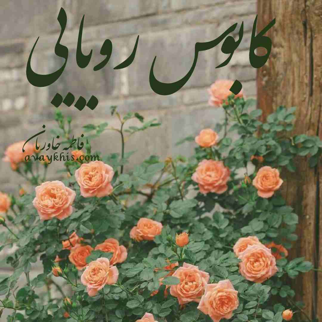دانلود رمان کابوس رویایی از نویسنده فاطمه خاوریان رمان رایگان