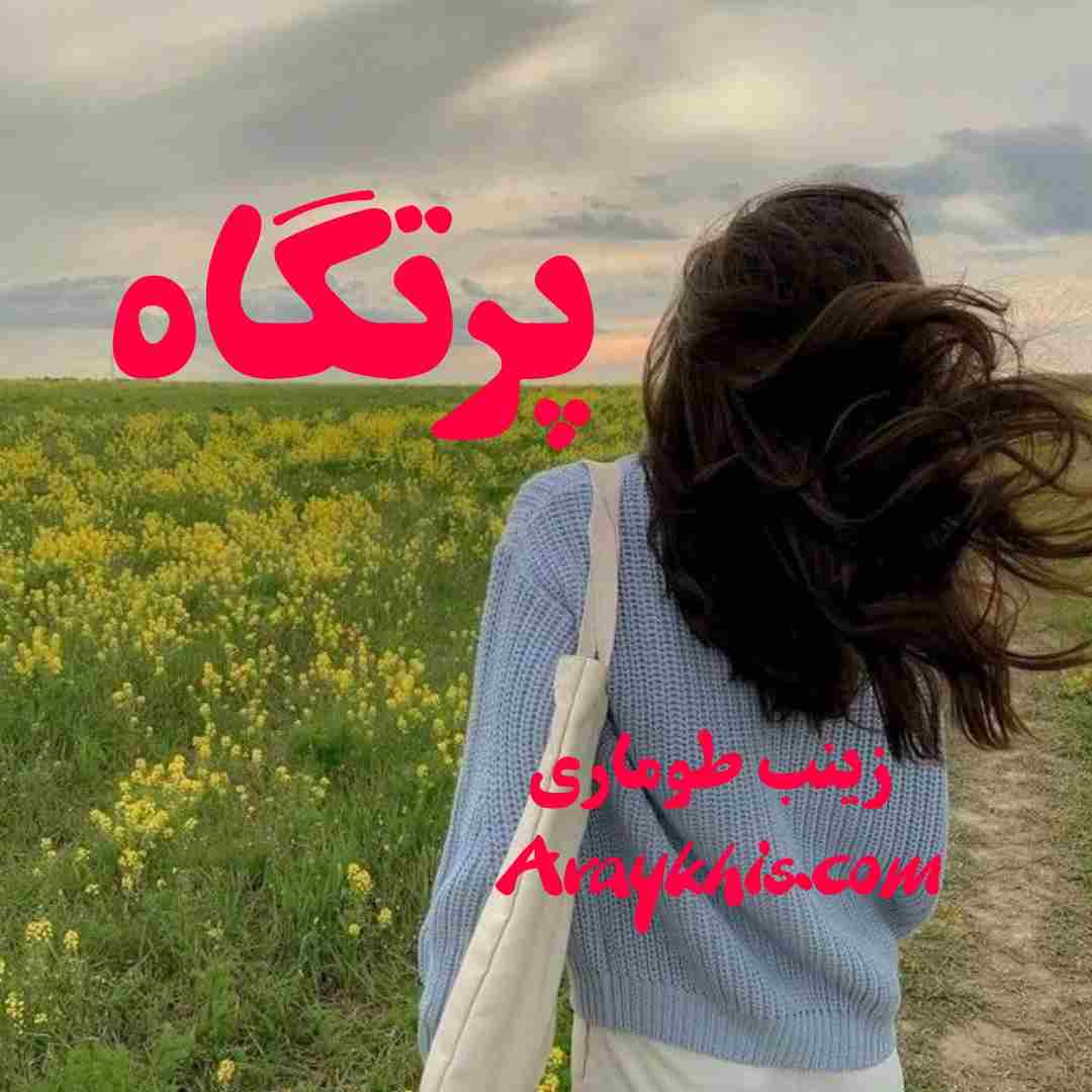 دانلود رمان پرتگاه از نویسنده زینب طوماری رمان رایگان