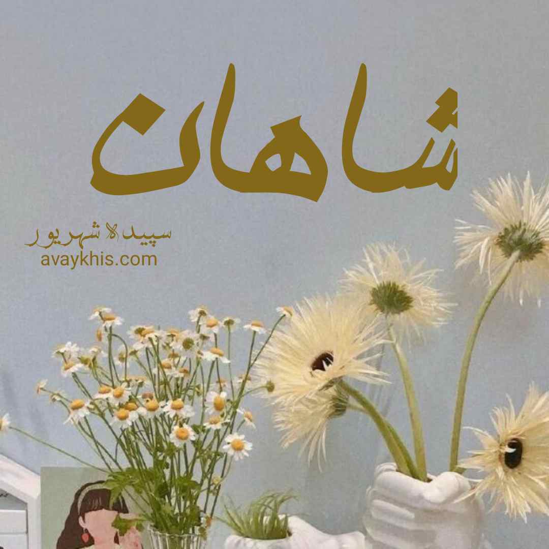 دانلود رمان شاهان از نویسنده سپیده شهریور رمان رایگان