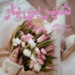 دانلود رمان شهر بی یار از نویسنده سحر مرادی رمان رایگان