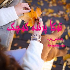 دانلود رمان توکا پرنده کوچک از نویسنده پرستو_س رمان رایگان