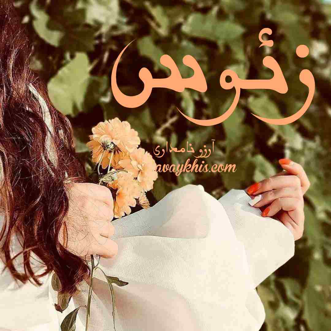 دانلود رمان زئوس از نویسنده آرزو نامداری رمان رایگان