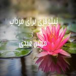 دانلود رمان نیلوفری برای مرداب از نویسنده مهین عبدی رمان رایگان