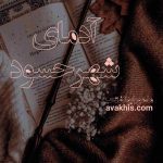 دانلود رمان آدمای شهر حسود از نویسنده ماهور ابوالفتحی رمان رایگان