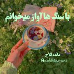 دانلود رمان با سنگ‌ها آواز میخوانم از نویسنده مائده فلاح رمان رایگان