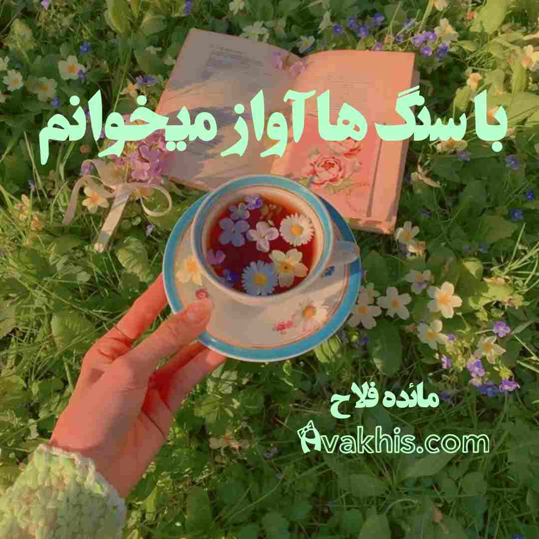 دانلود رمان با سنگ‌ها آواز میخوانم از نویسنده مائده فلاح رمان رایگان