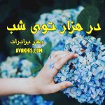 دانلود رمان در هزار توی شب از نویسنده بهار برادران رمان رایگان
