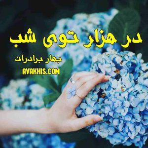 دانلود رمان در هزار توی شب از نویسنده بهار برادران رمان رایگان