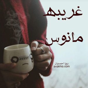 دانلود رمان غریبه مانوس از نویسنده رویا احمدیان رمان رایگان