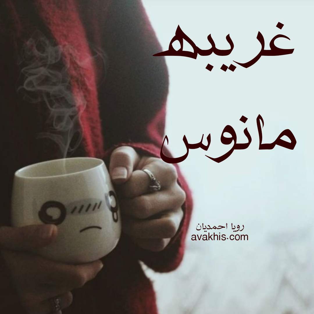 دانلود رمان غریبه مانوس از نویسنده رویا احمدیان رمان رایگان
