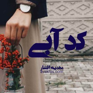 دانلود رمان کد آبی از نویسنده مهدیه افشار رمان رایگان