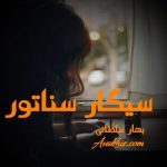 دانلود رمان سیگار سناتور از نویسنده بهار سلطانی رمان رایگان
