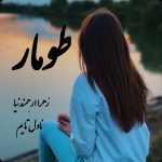 دانلود رمان طومار از نویسنده زهرا ارجمندنیا رمان رایگان