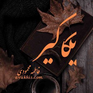 دانلود رمان یکاگیر از نویسنده فاطمه محمودی رمان رایگان