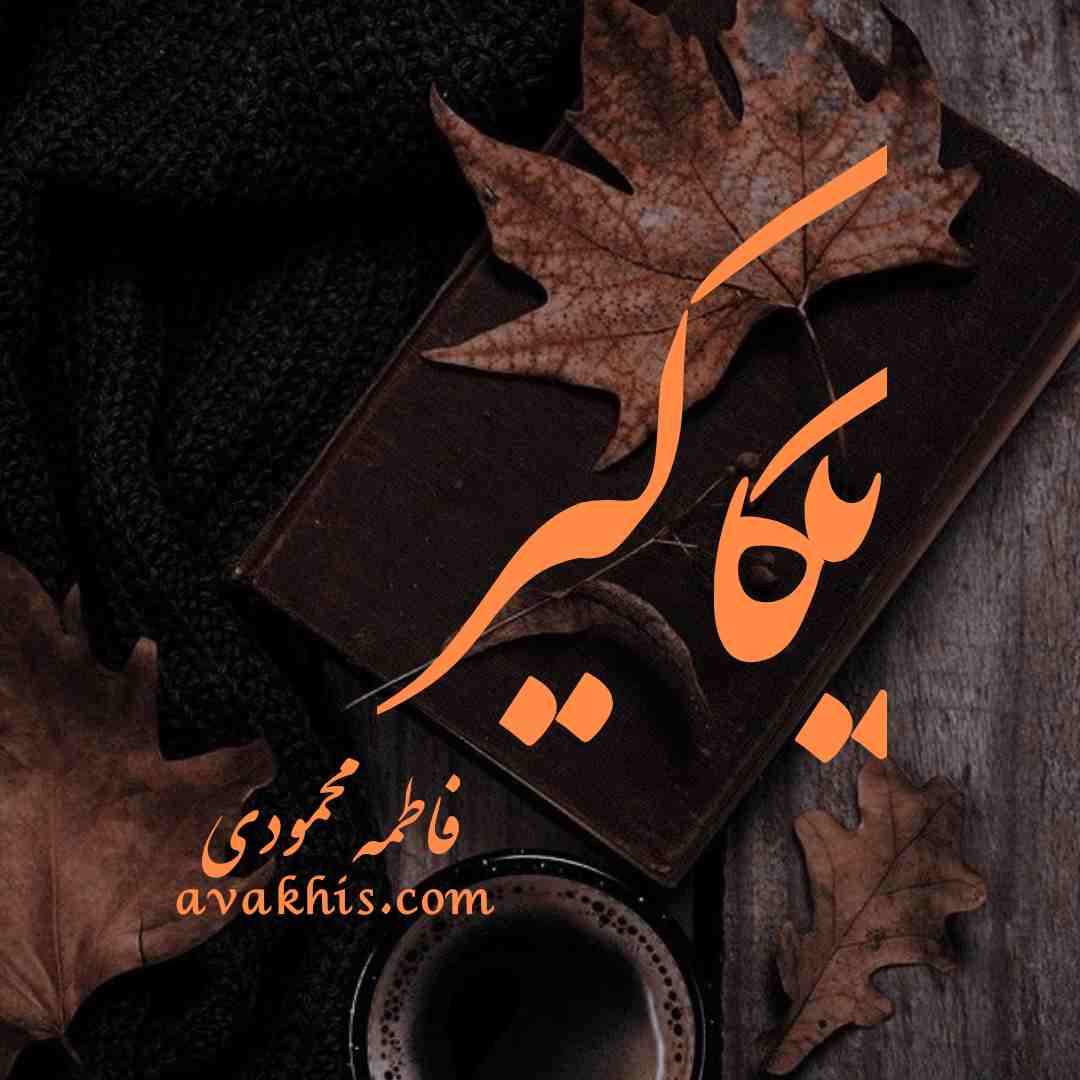 دانلود رمان یکاگیر از نویسنده فاطمه محمودی رمان رایگان