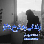 دانلود رمان زندگی به نرخ دلار از نویسنده صدیقه بهروان فر رمان رایگان