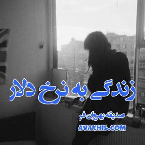 دانلود رمان زندگی به نرخ دلار از نویسنده صدیقه بهروان فر رمان رایگان