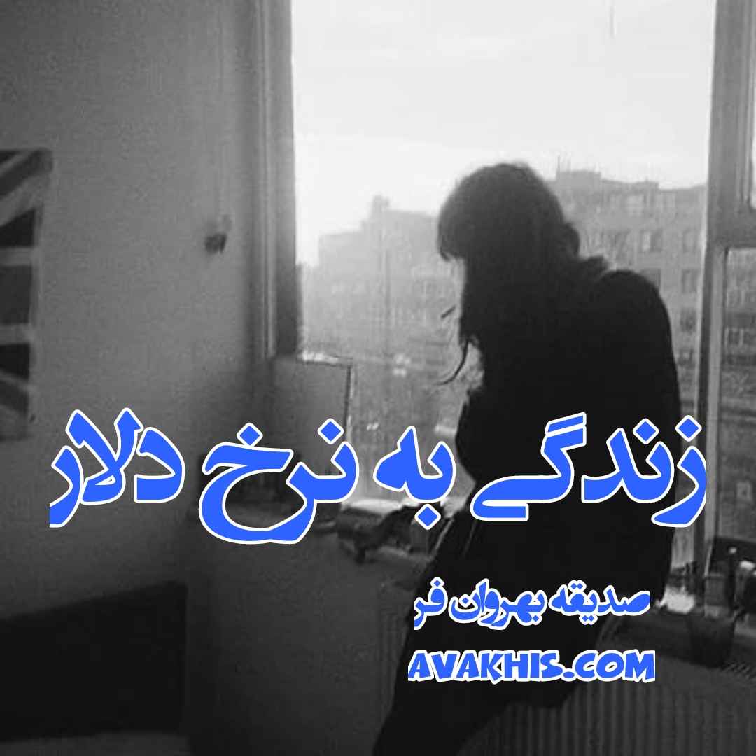 دانلود رمان زندگی به نرخ دلار از نویسنده صدیقه بهروان فر رمان رایگان