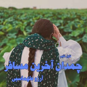 دانلود رمان چمدان آخرین مسافر از نویسنده آرزو طهماسبی رمان رایگان