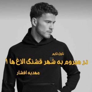 دانلود رمان در میروم به شهر قشنگ الاغ ها (جلد اول) از مهدیه افشار نویسنده رمان رایگان