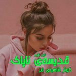 دانلود رمان قدیسه‌ی ناپاک (دو جلد کامل) از نویسنده کوثر شاهینی فر رمان رایگان