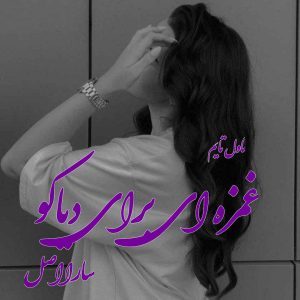 دانلود رمان غمزه ای برای دیاکو از نویسنده سارا اصل رمان رایگان