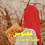 دانلود رمان ققنوس از نویسنده سهیلا محبوب رمان رایگان