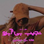 دانلود رمان نجیب بی آبرو از نویسنده هاله نژاد صاحبی رمان رایگان