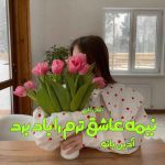 دانلود رمان نیمه عاشق ترم را باد برد از نویسنده آذین بانو رمان رایگان