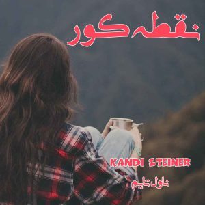 دانلود رمان نقطه کور از نویسنده kandi steiner رمان رایگان