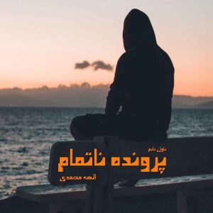 دانلود رمان پرونده ناتمام از نویسنده الهه محمدی رمان رایگان