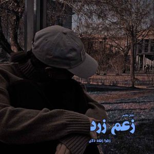 دانلود رمان زعم زرد از نویسنده زهرا زنده دلان رمان رایگان