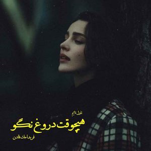 دانلود رمان هیچوقت دروغ نگو از نویسنده فریدا مک فادن رمان رایگان