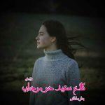 دانلود رمان کلاغ سفید در مرداب از نویسنده بهار سلطانی رمان رایگان
