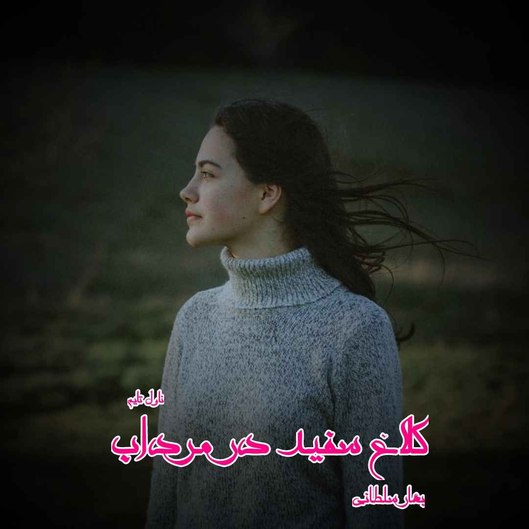 دانلود رمان کلاغ سفید در مرداب از نویسنده بهار سلطانی رمان رایگان