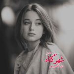 دانلود رمان شهر گناه از نویسنده ستاره شجاعی مهر رمان رایگان