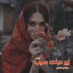 دانلود رمان زیر درخت سیب از نویسنده مهشید حسنی رمان رایگان