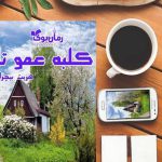 دانلود کتاب رمان کلبه ی عمو تام هریت بیچر استو