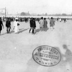 میرزا رضا کرمانی