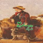 رمان چرم ساغری